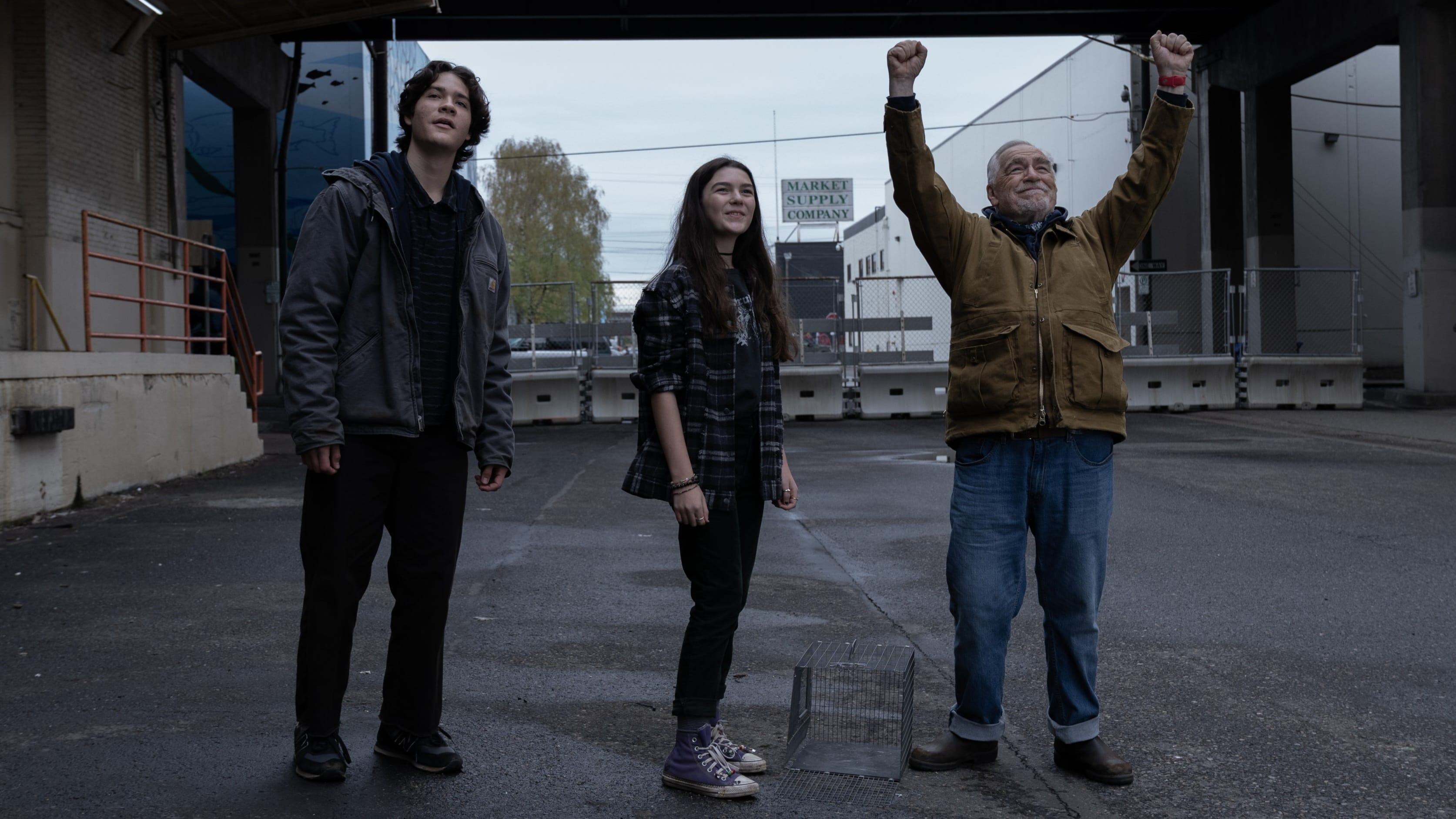 Little Wing (2024)
