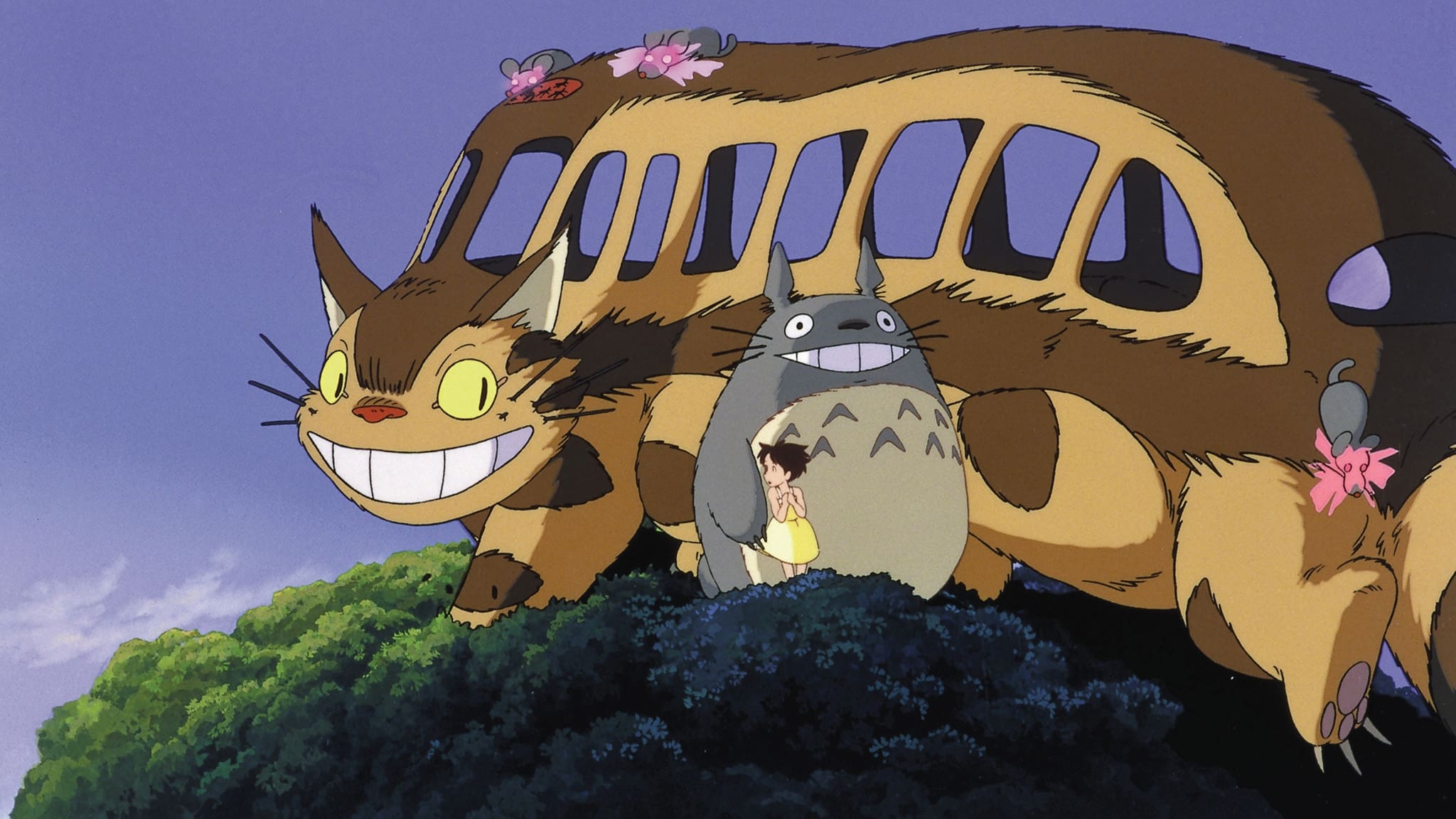 Image du film Mon voisin Totoro boqqpwopapwcmtp1tuctflwdz3sjpg