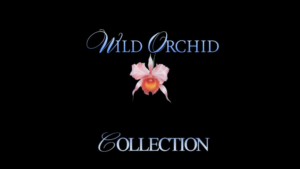 Wild Orchid Collection