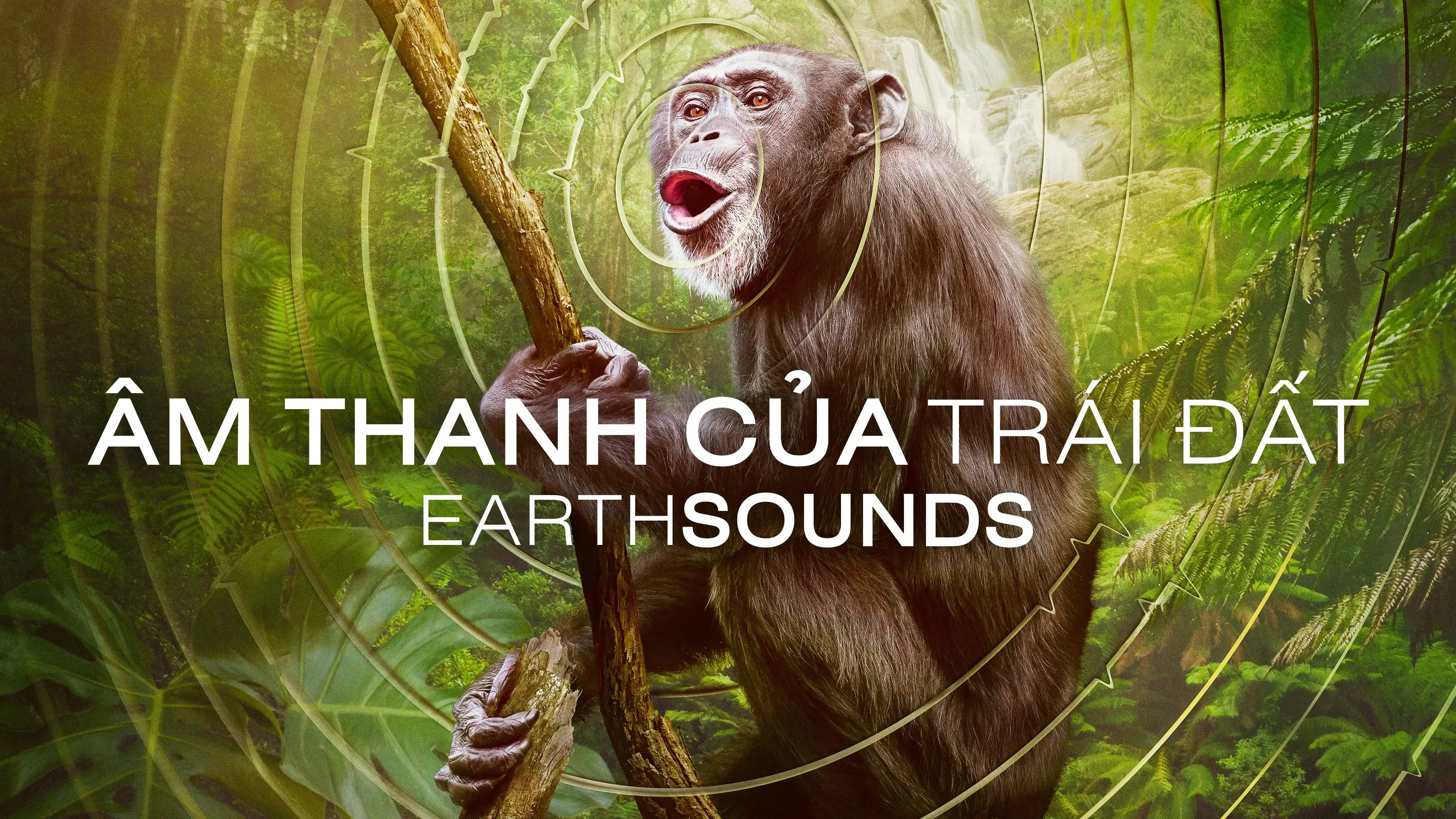 Earthsounds