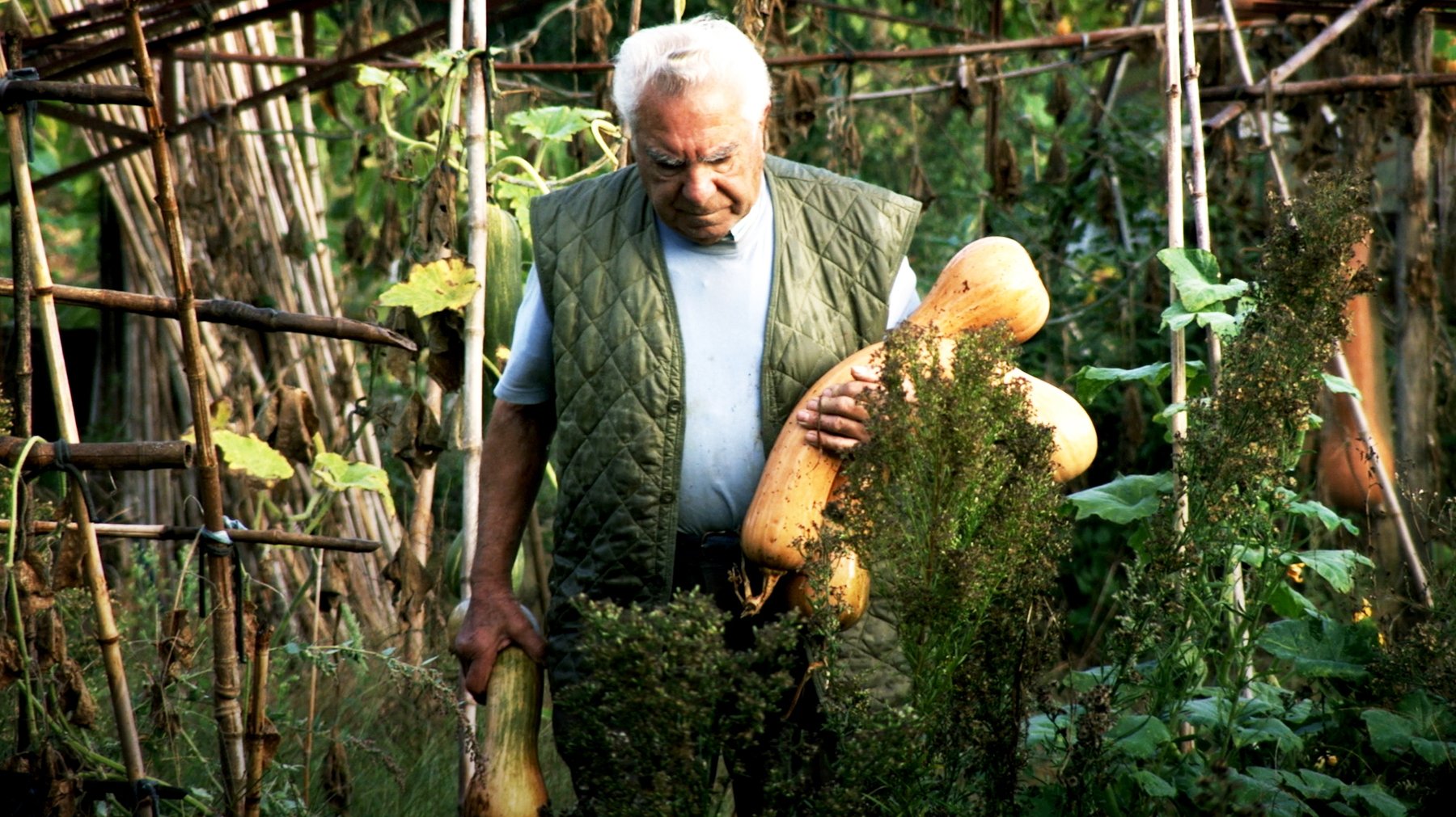 Le potager de mon grand-père