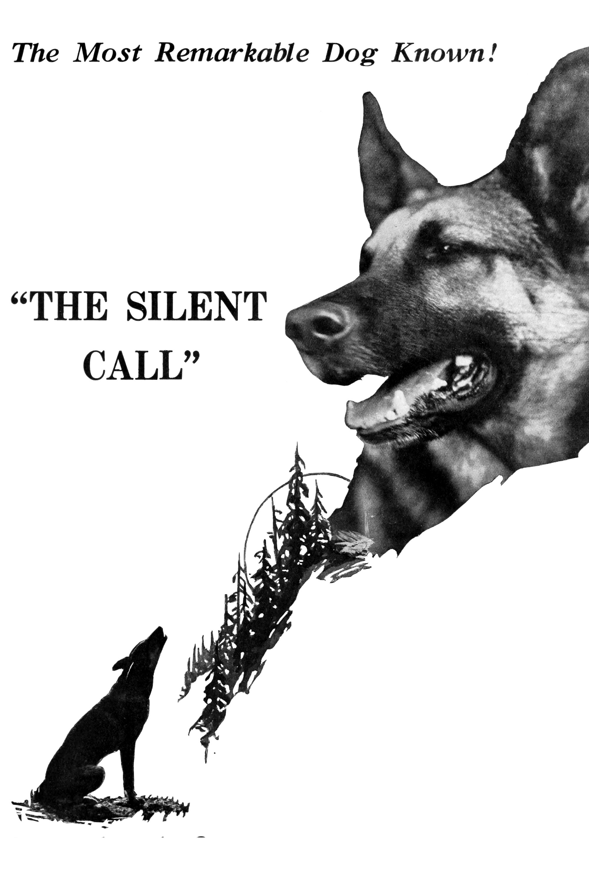 The Silent Call