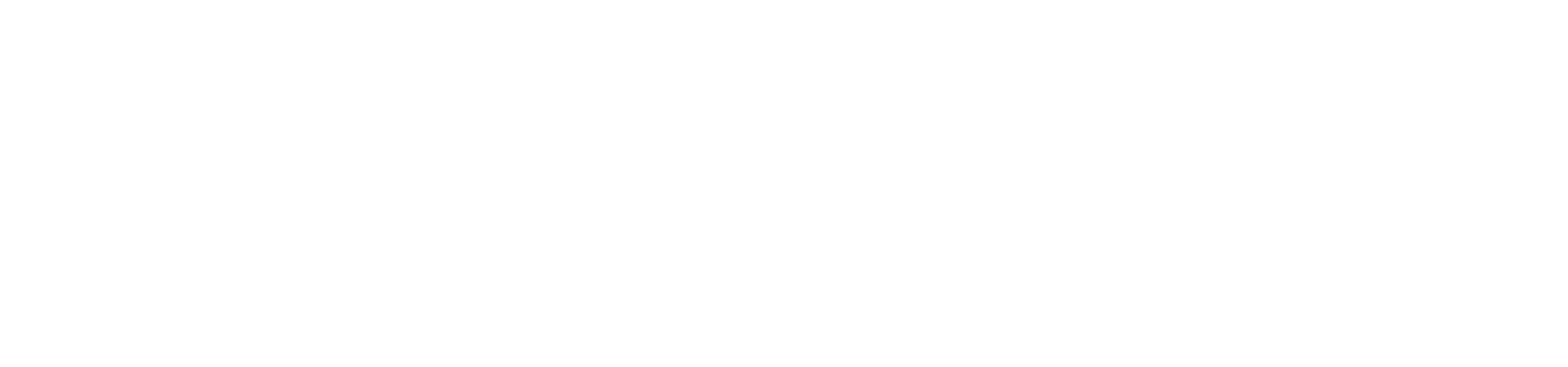 Dr. Brain Logo