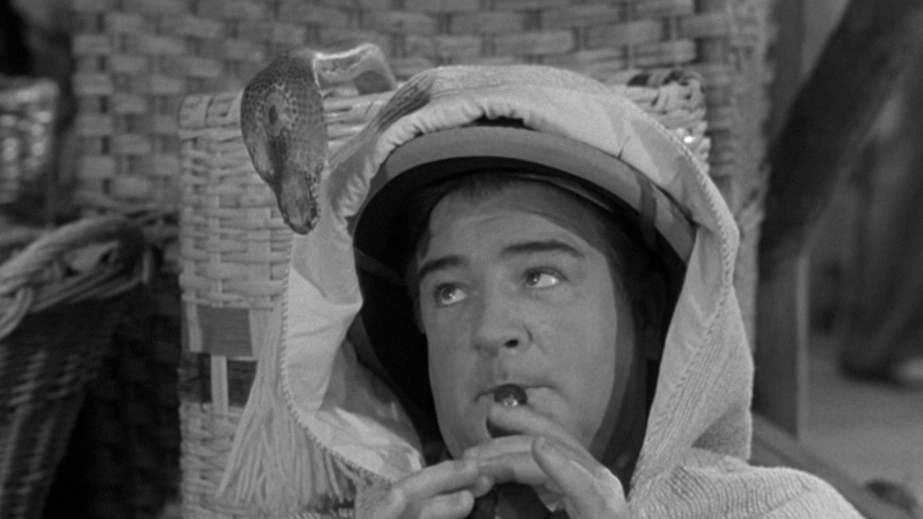Абот и Костело срећу мумију (1955)