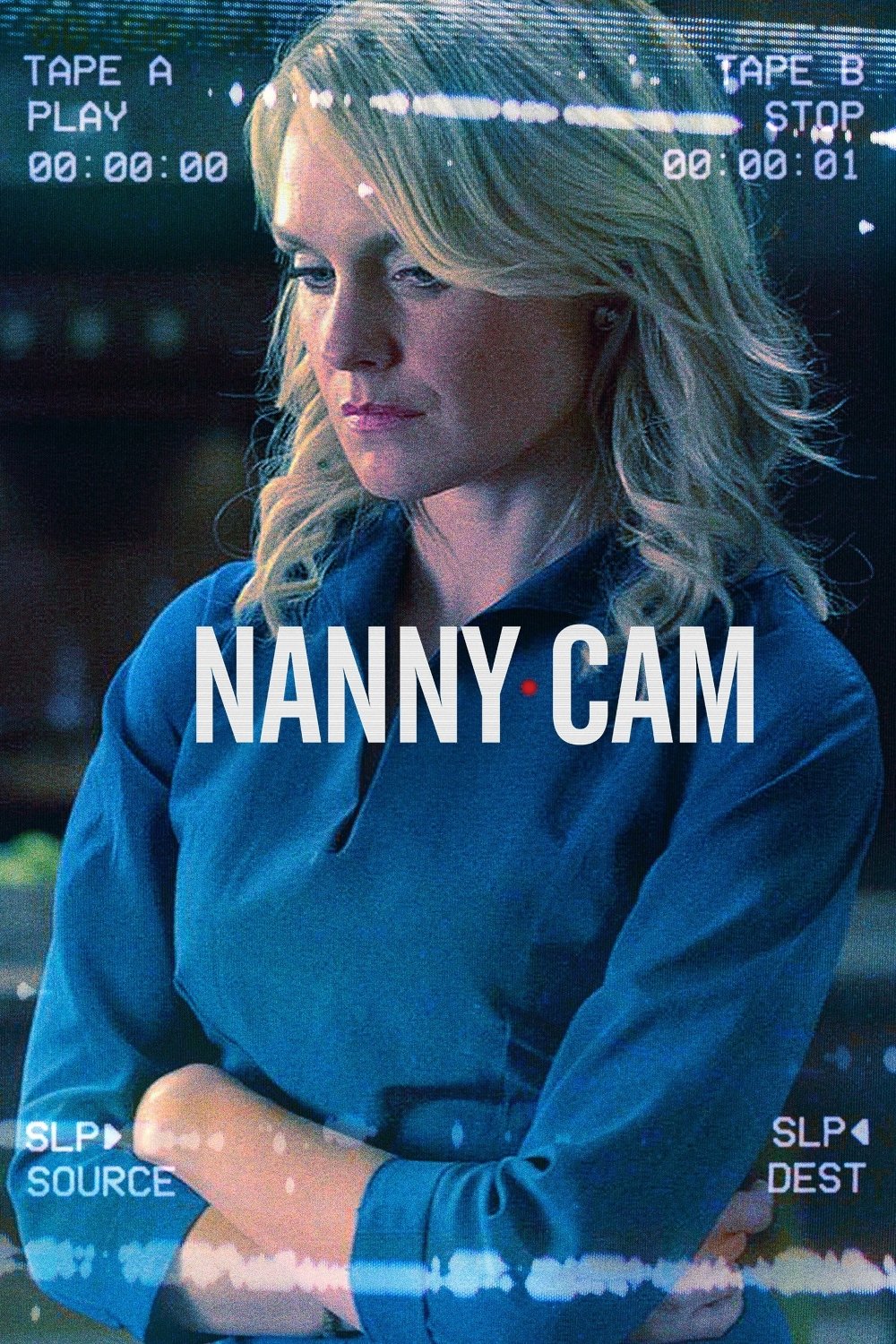 Nanny Cam