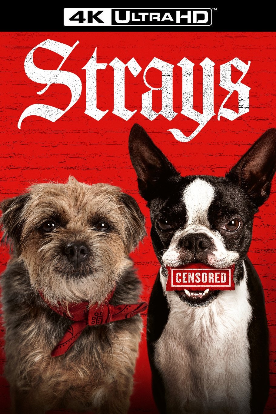 Strays