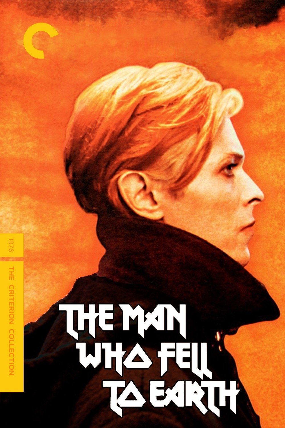 The Man Who Fell to Earth