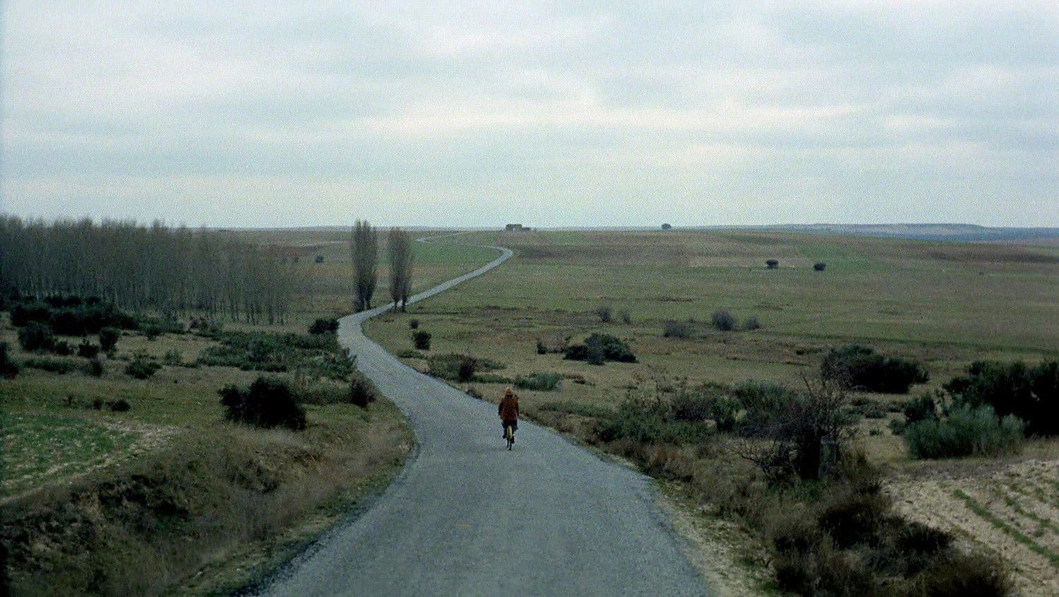 The Spirit of the Beehive