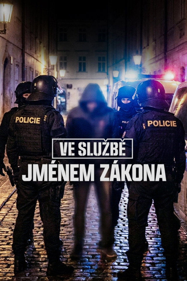 poster tv Ve službě: Jménem zákona