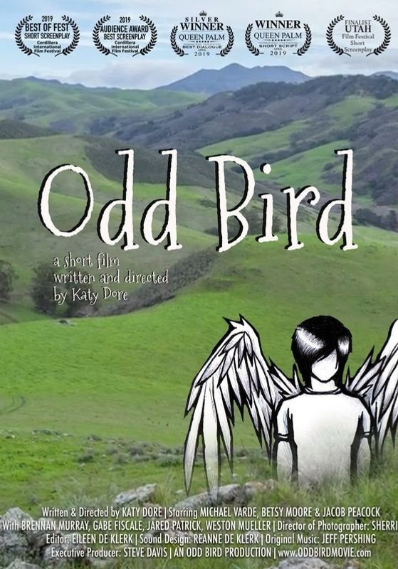 Odd Bird Odd Bird