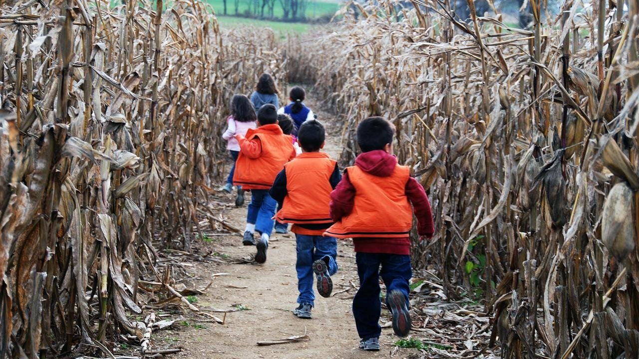 Kate Plus 8 - Épisode 8