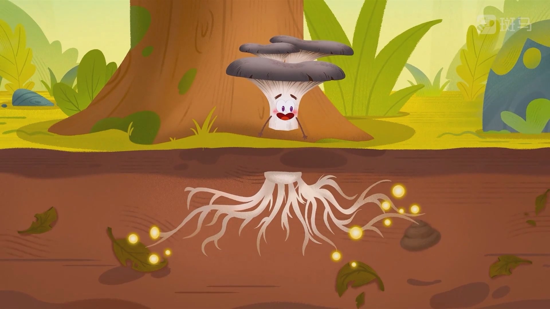 Thumbnail for Episode 12 Season 1 Episode 12