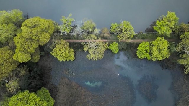 Countryfile 37x19
