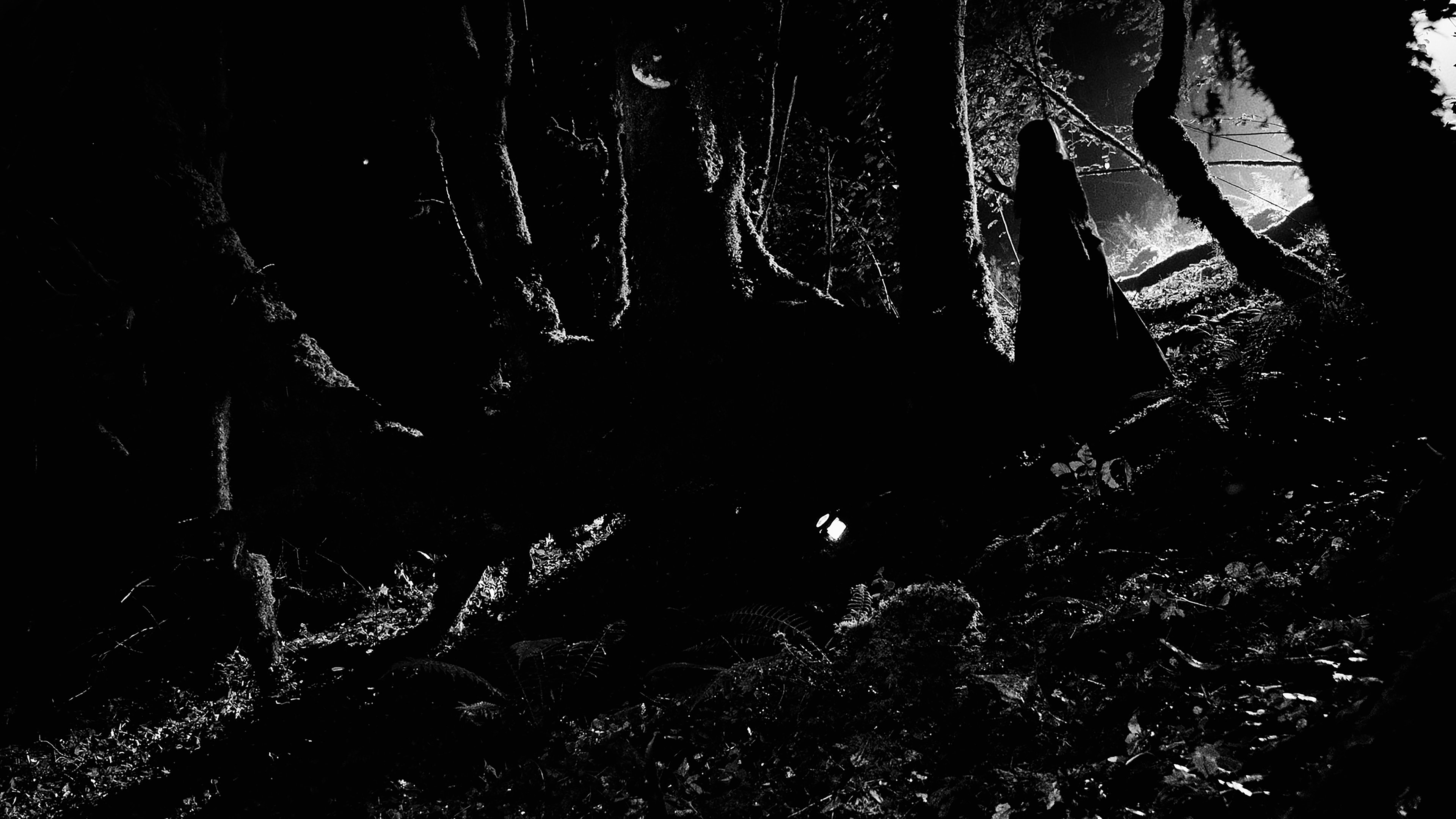 Lorsque la Nuit Tombe (2025)