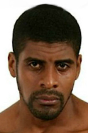 et billede af Falcon