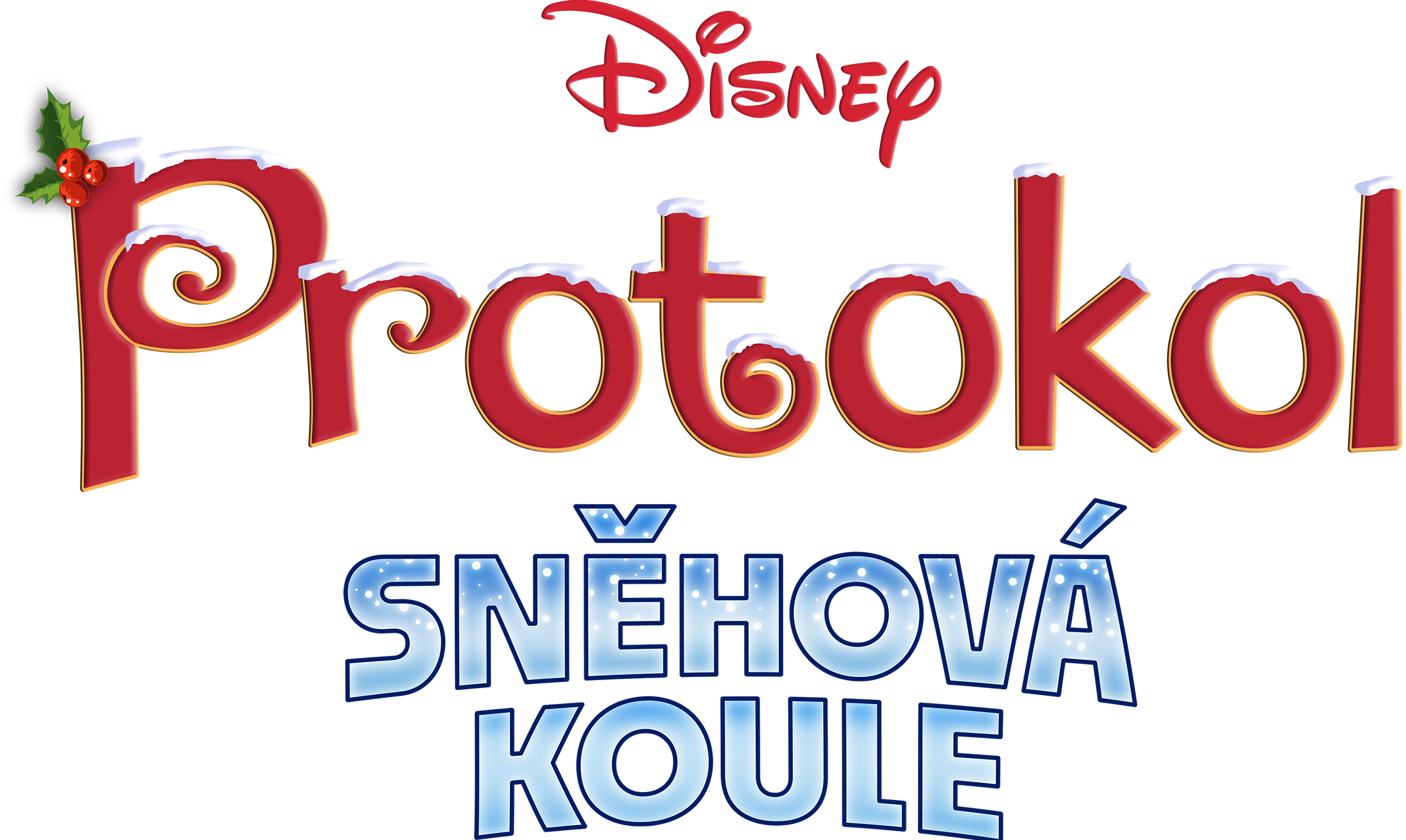 Protokol Sněhová koule