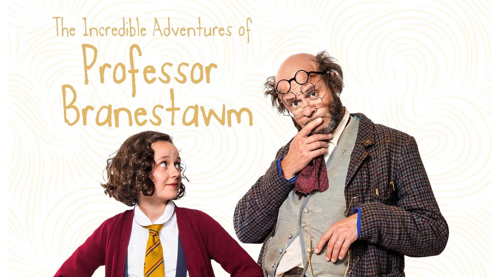 The Incredible Adventures of Professor Branestawm (2014)