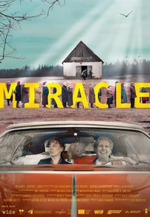 Affiche du film Miracle 28672