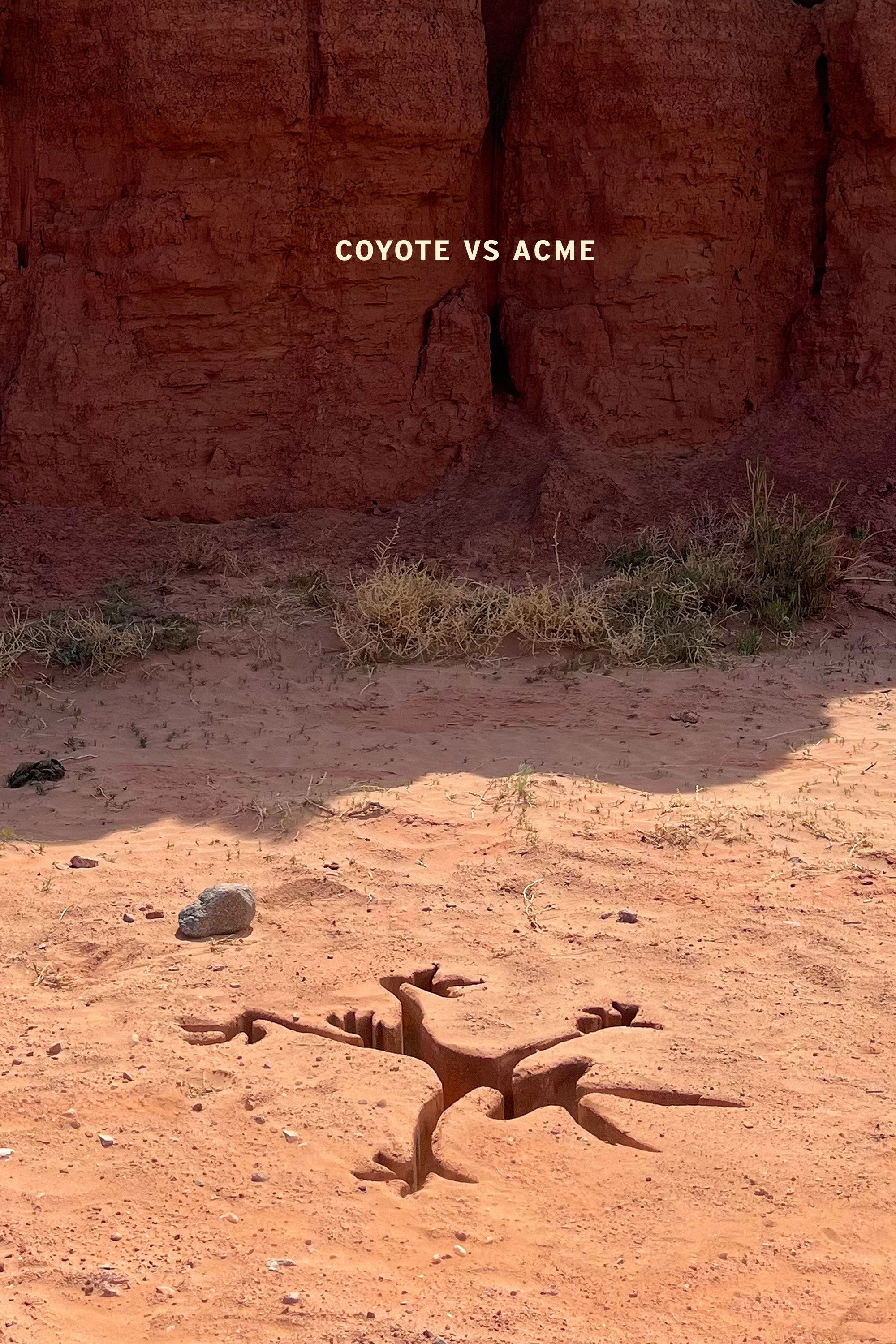 Coyote vs. Acme