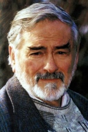 et billede af Hans Wyprächtiger