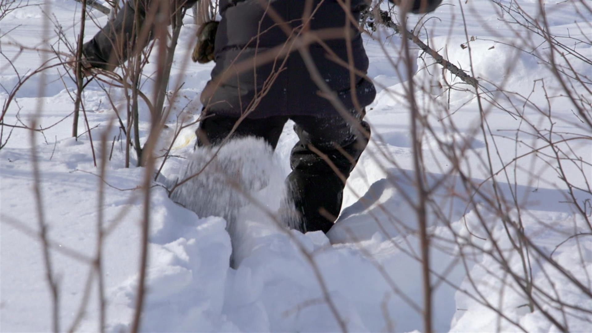 Life Below Zero: Next Generation S06E09 backdrop