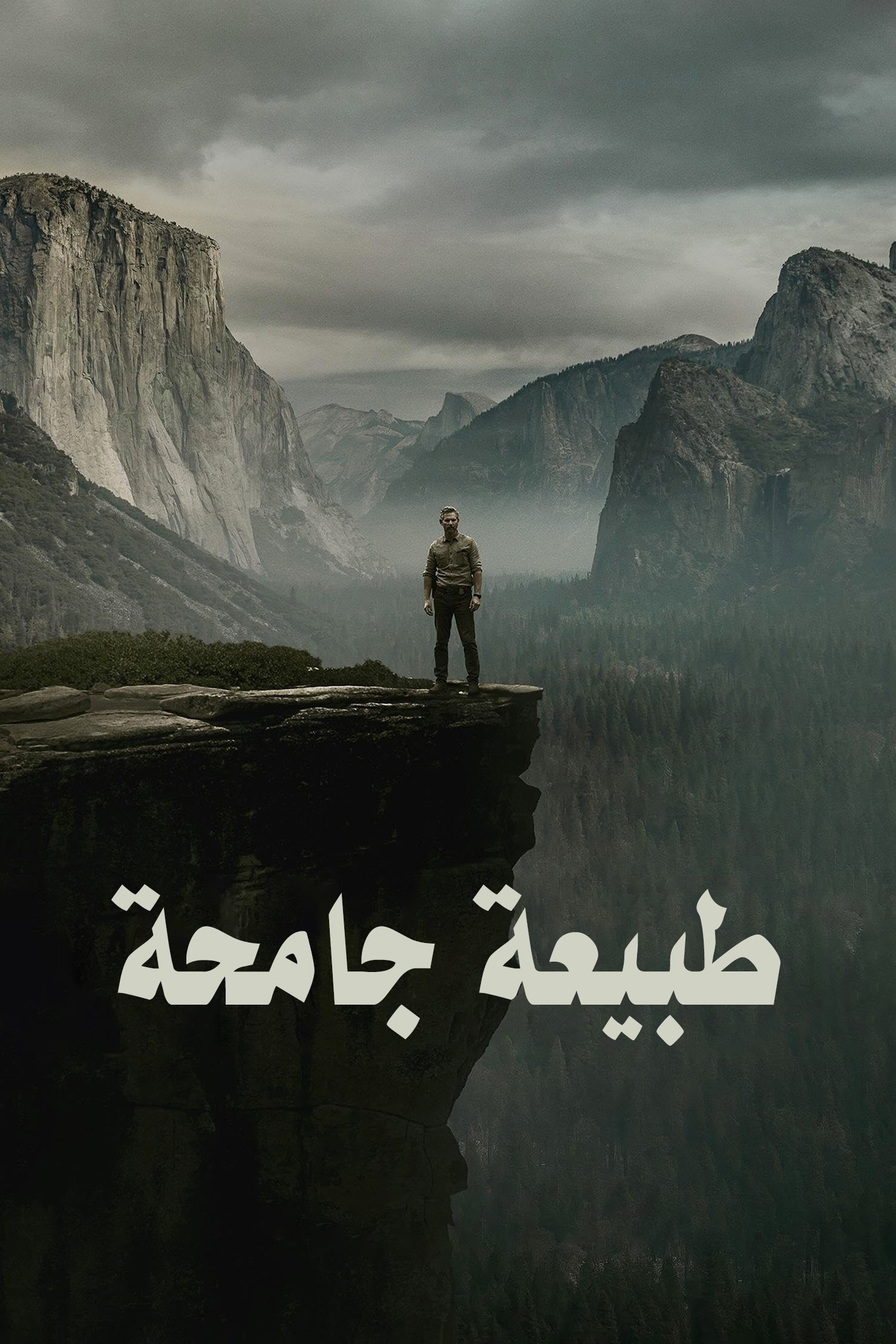 image-preview