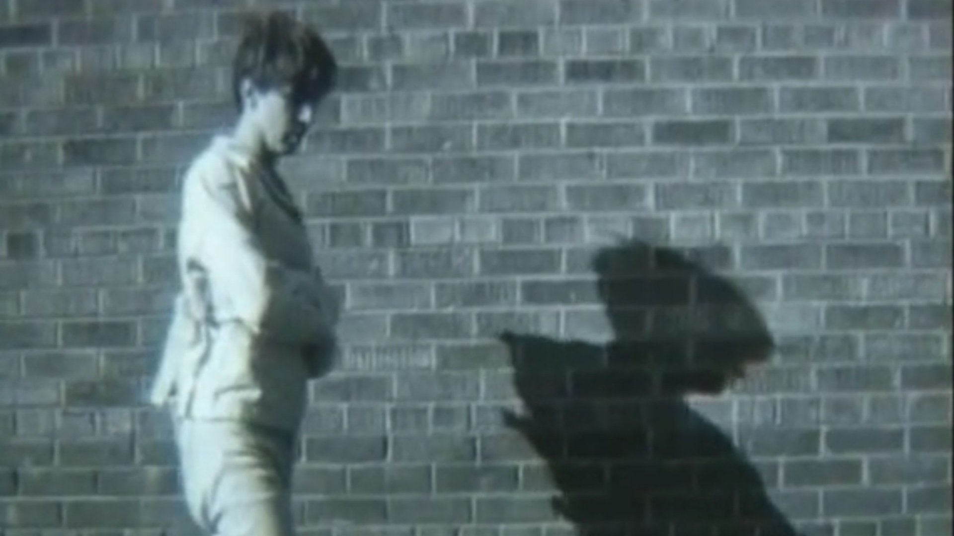 Super 8½ (1994)