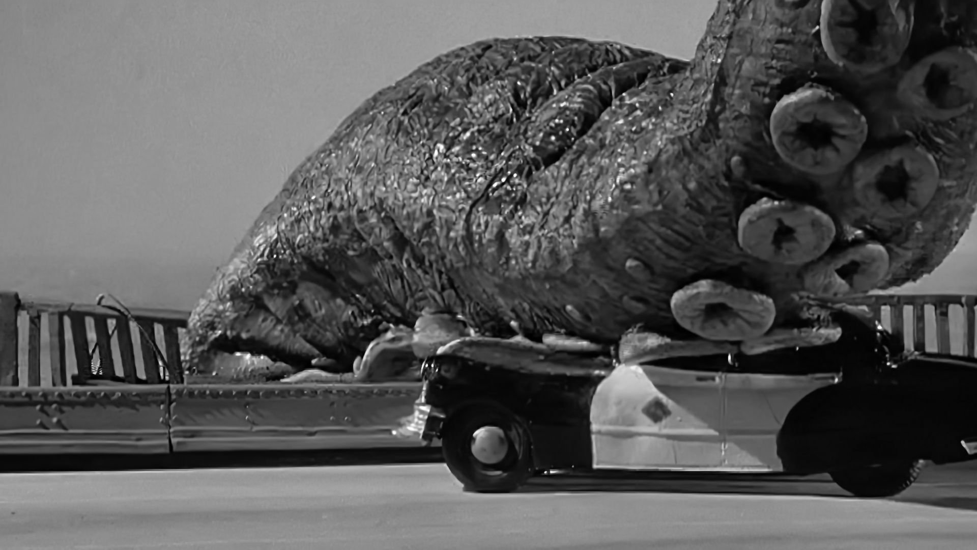 It Came from Beneath the Sea (1955)