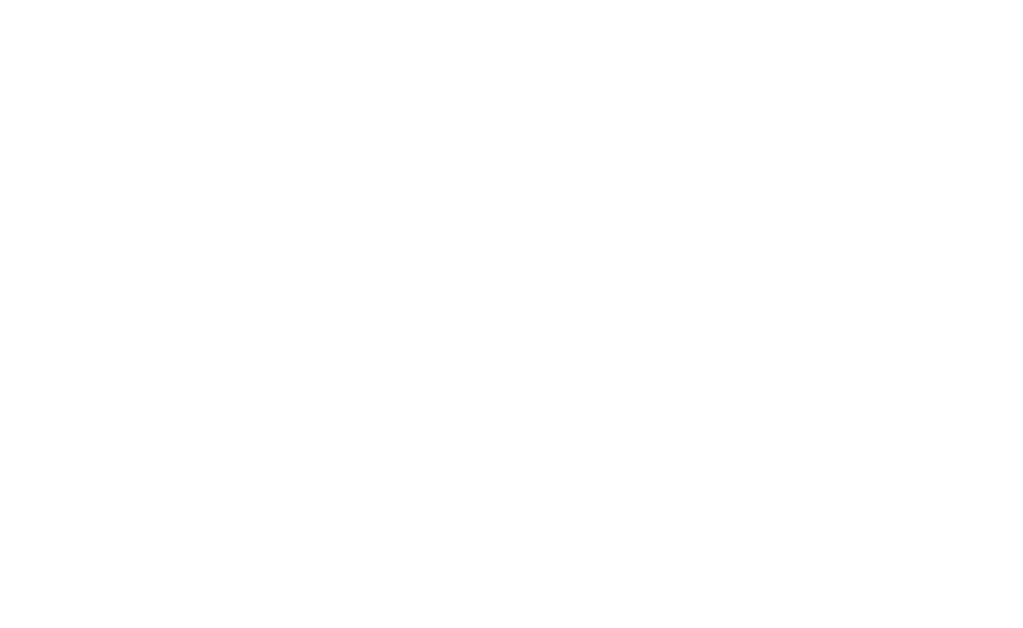 Inside Amy Schumer Logo
