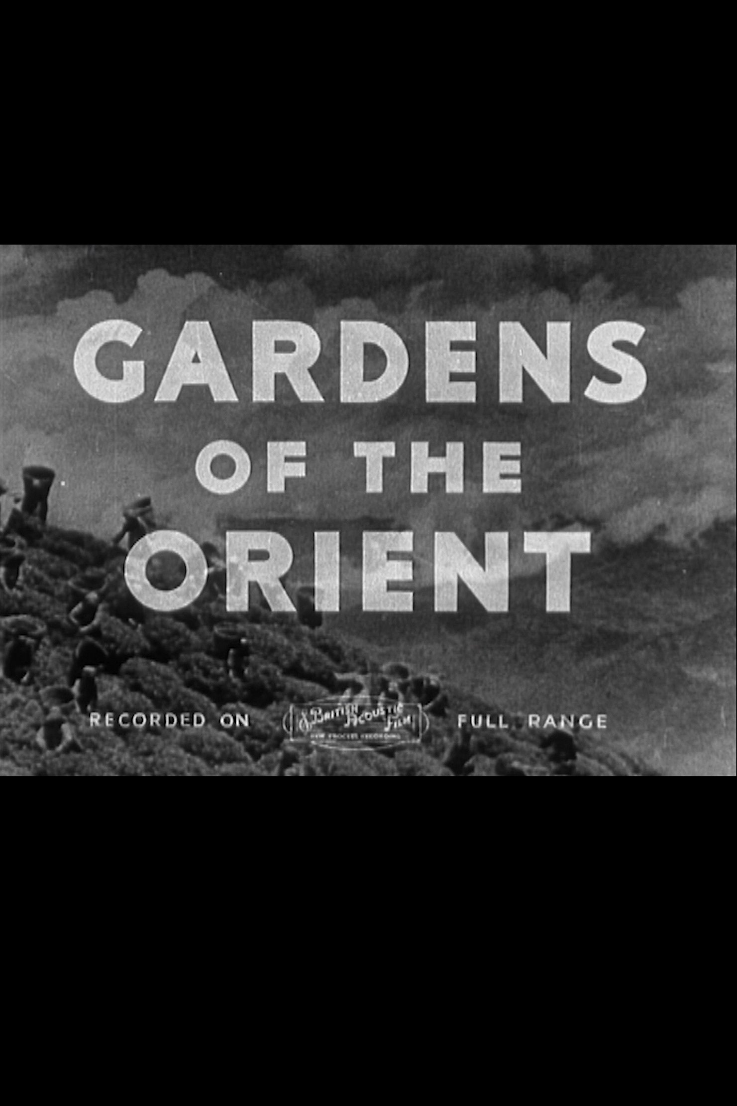 Gardens of the Orient