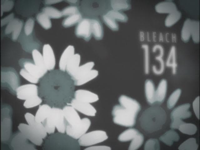 Bleach Staffel 1 :Folge 134 