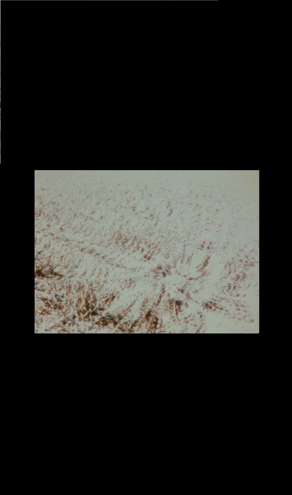 Content cover