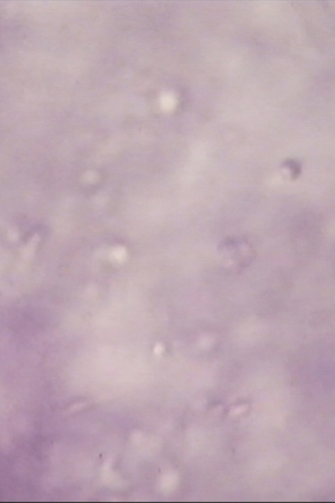 Sperm Sea Poster