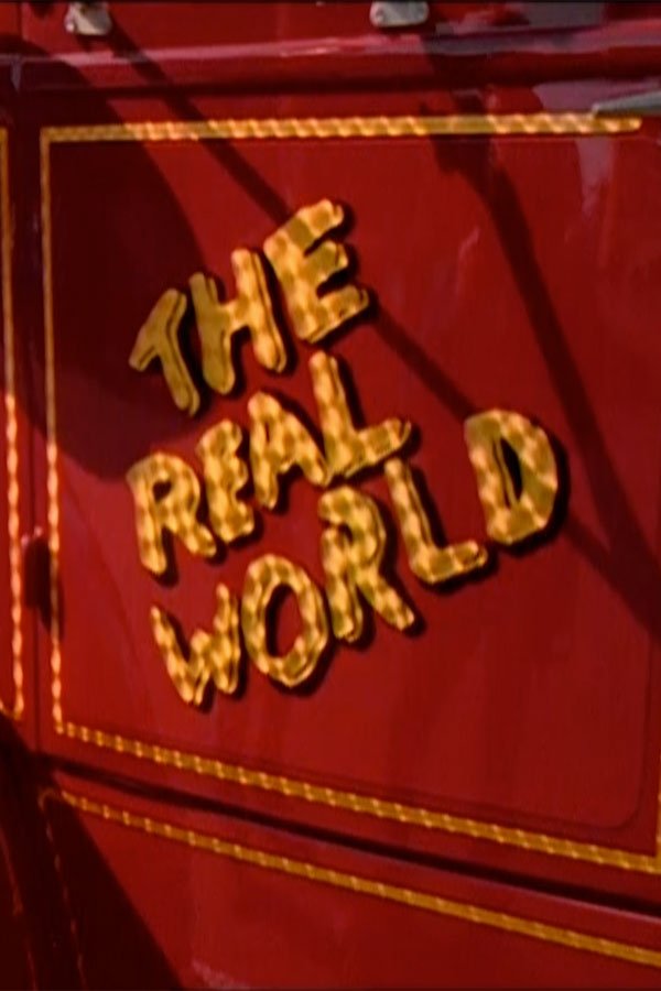 The Real World - Season 6