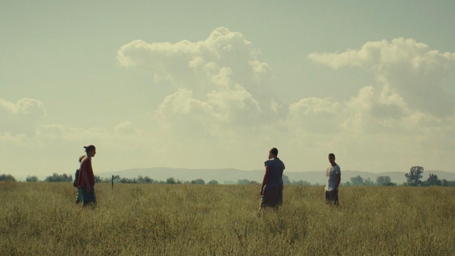 The Vine (2018)
