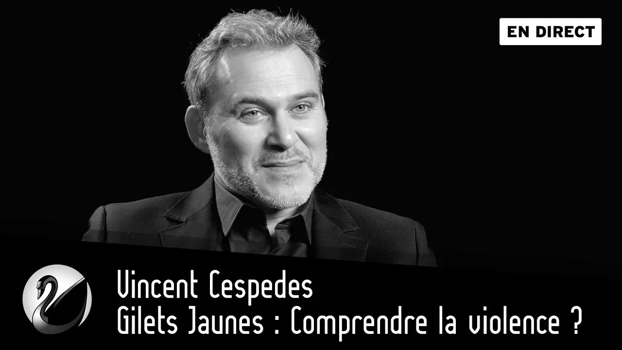 Thinkerview - Gilets Jaunes : Comprendre la violence ?