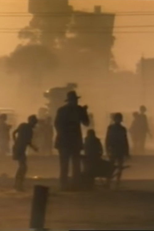 Namibia - No Easy Road to Freedom Poster