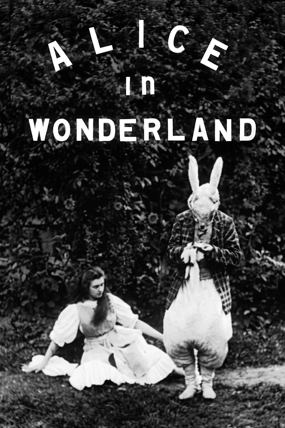 Alice in Wonderland