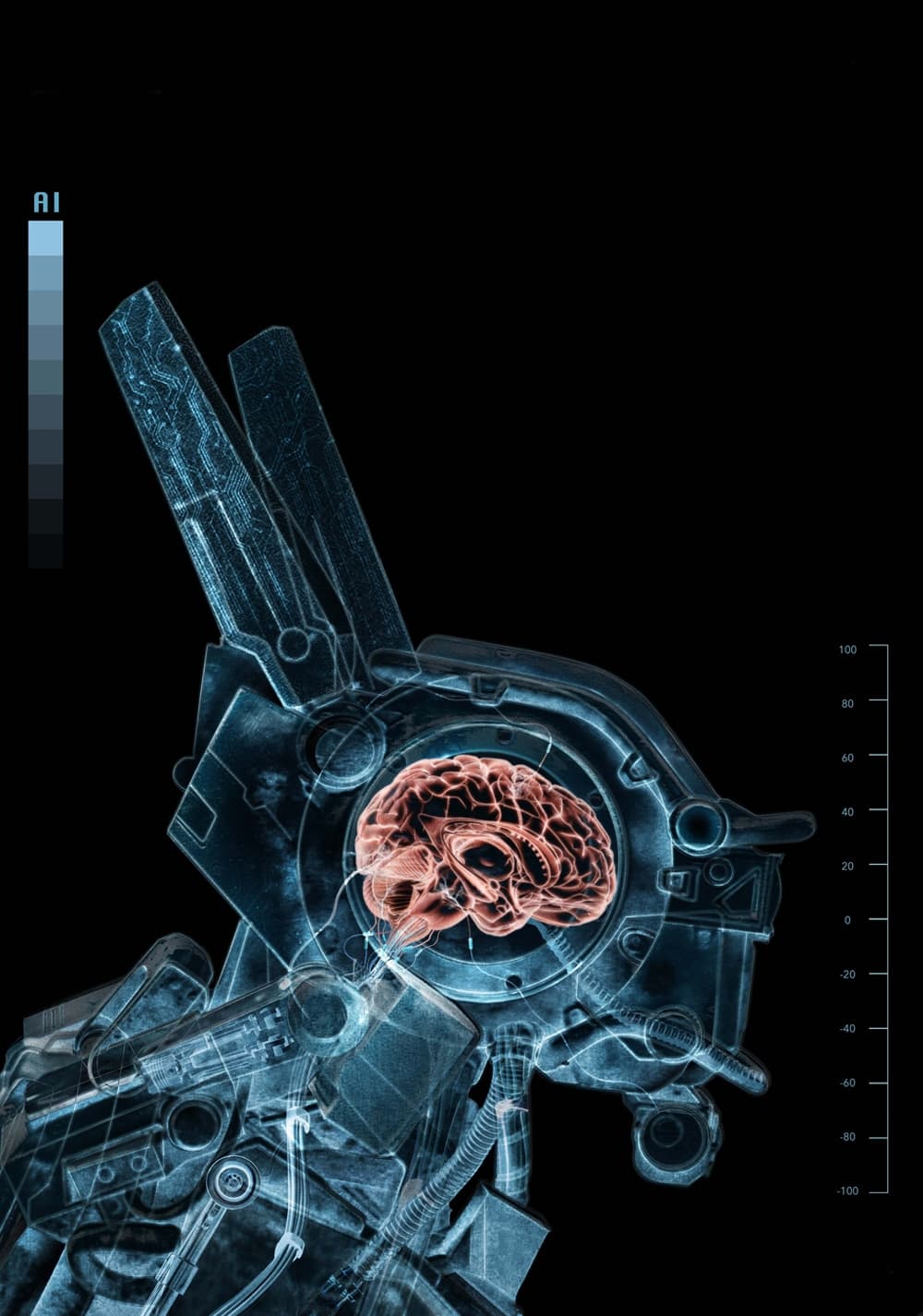 TMDB Image