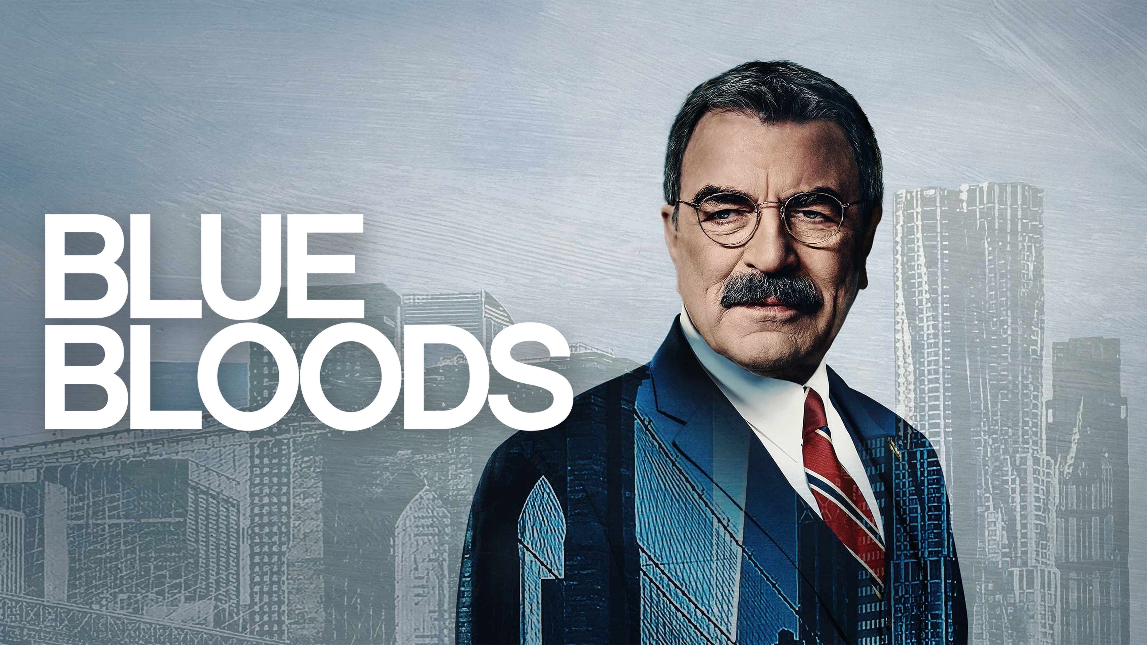 Blue Bloods - Season 6