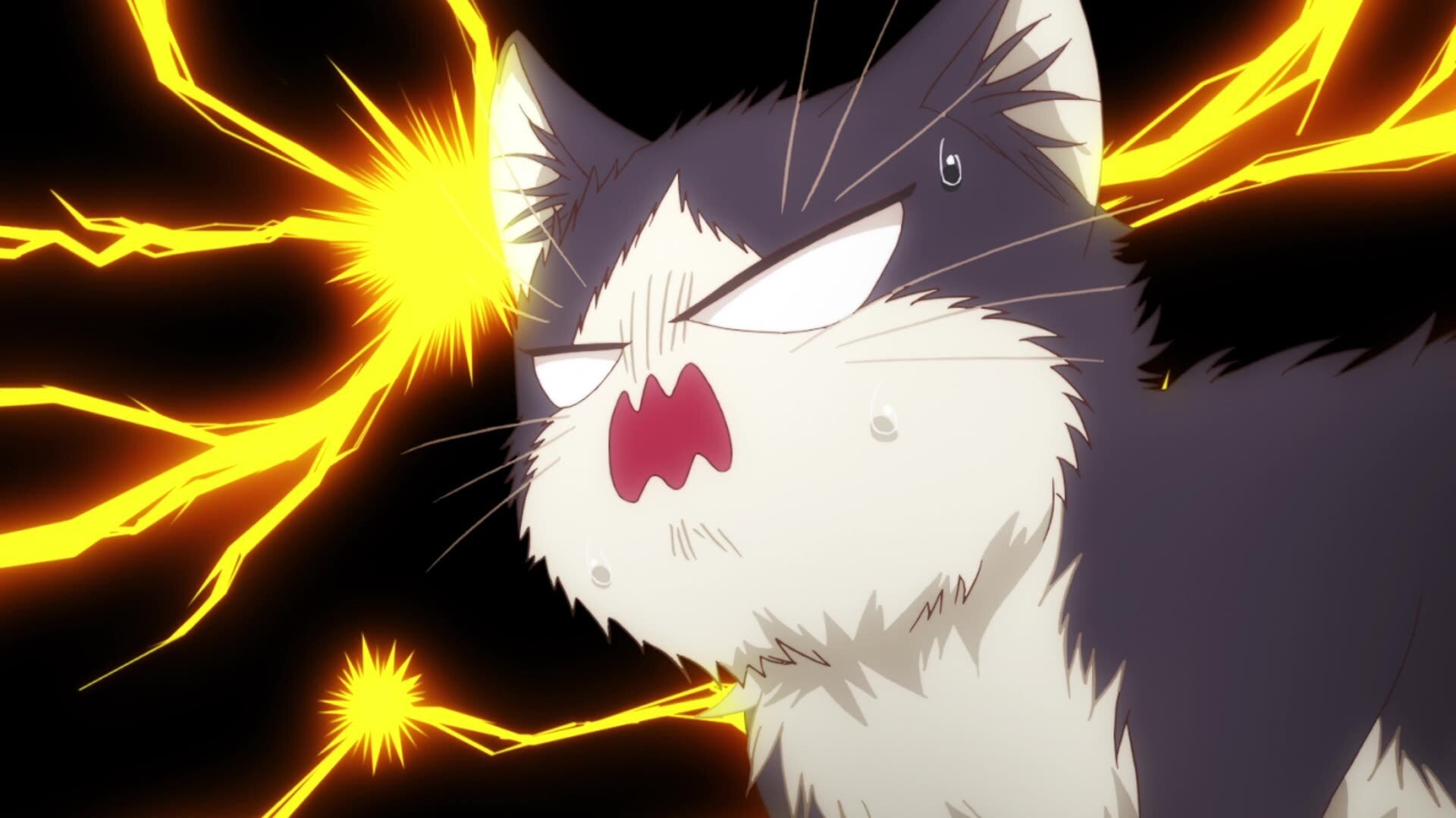 Doukyonin wa Hiza, Tokidoki, Atama no Ue (Dub) Episode 3 thumbnail