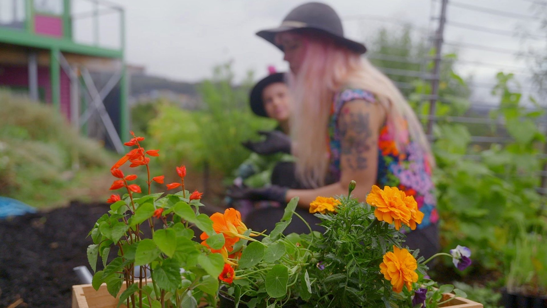 Thumbnail for Flower Tea Party Season 1 Episode 6
