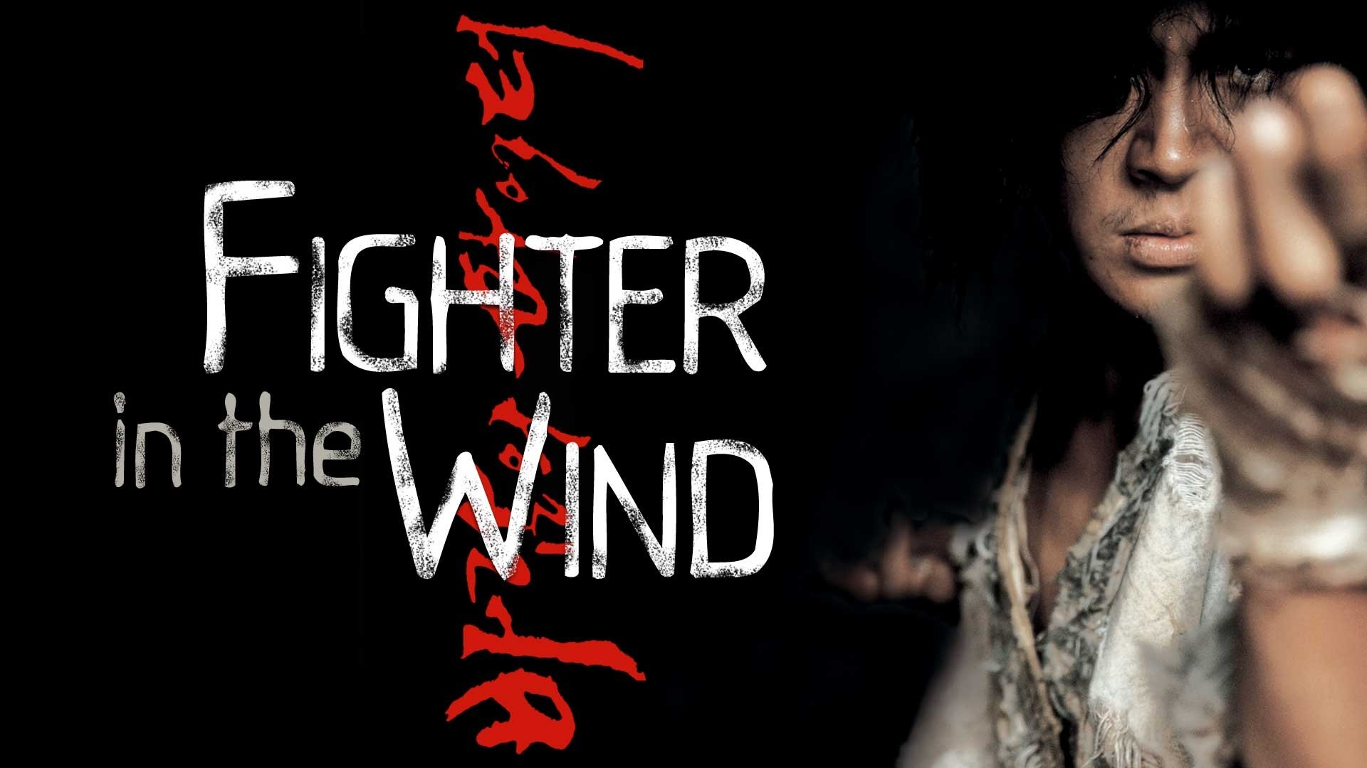 Fighter in the Wind