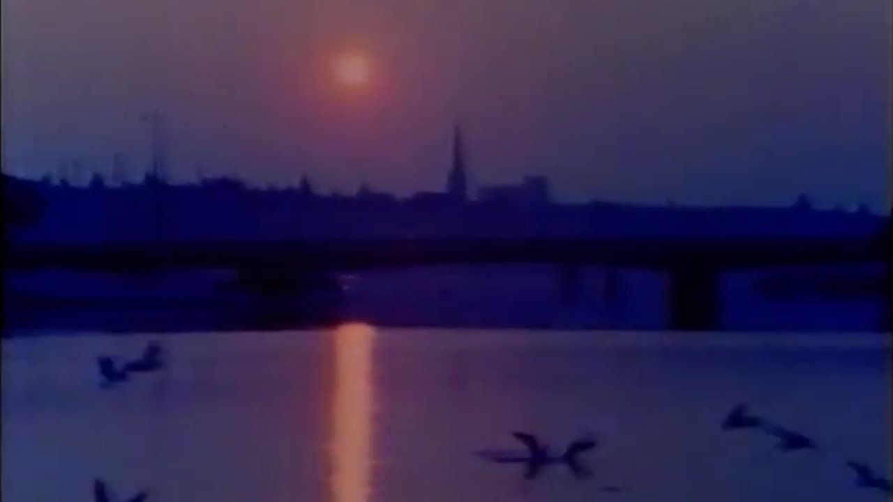 Portrait: A Film of Stockholm (1981)