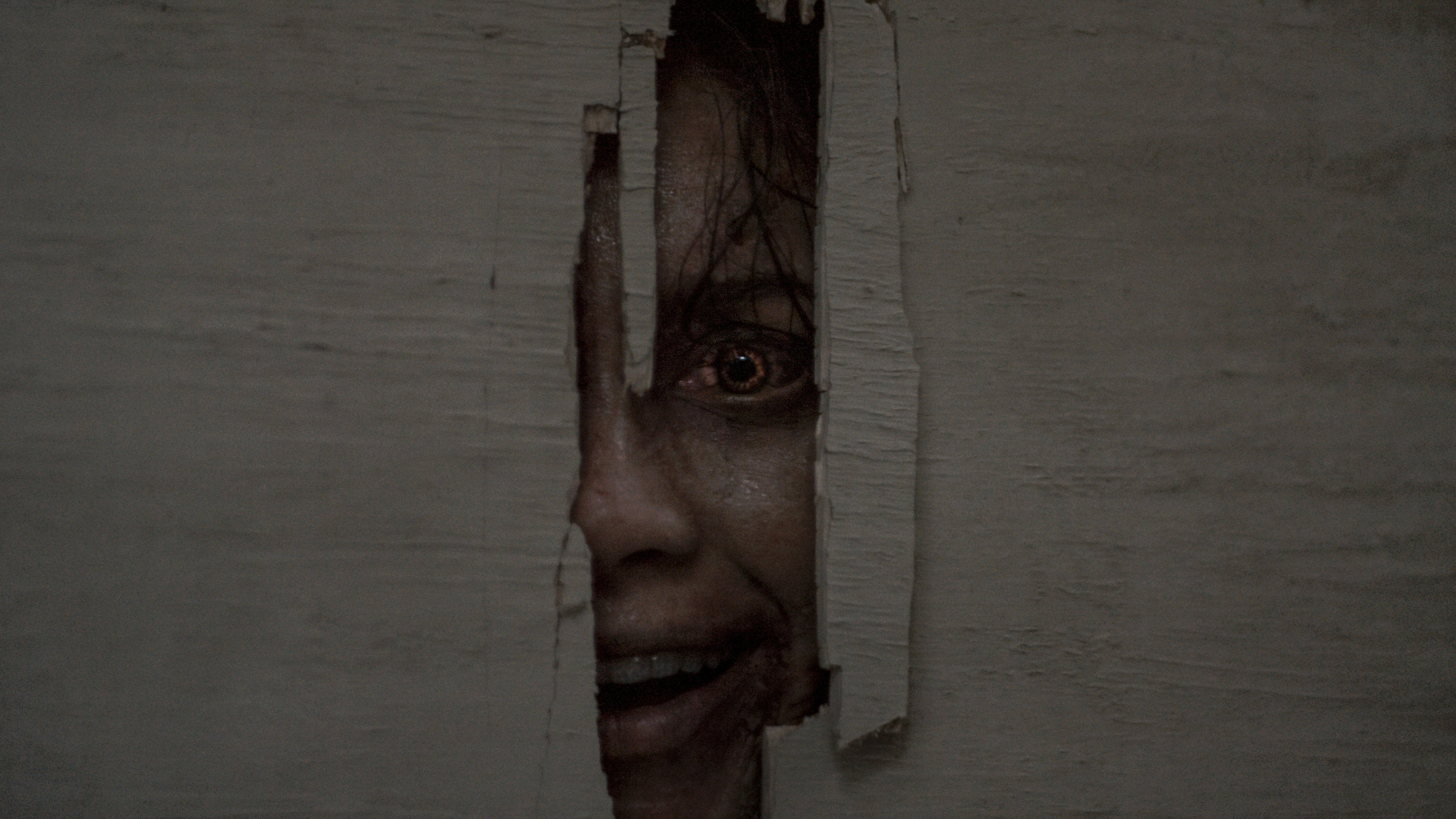 Evil Dead Burn poster