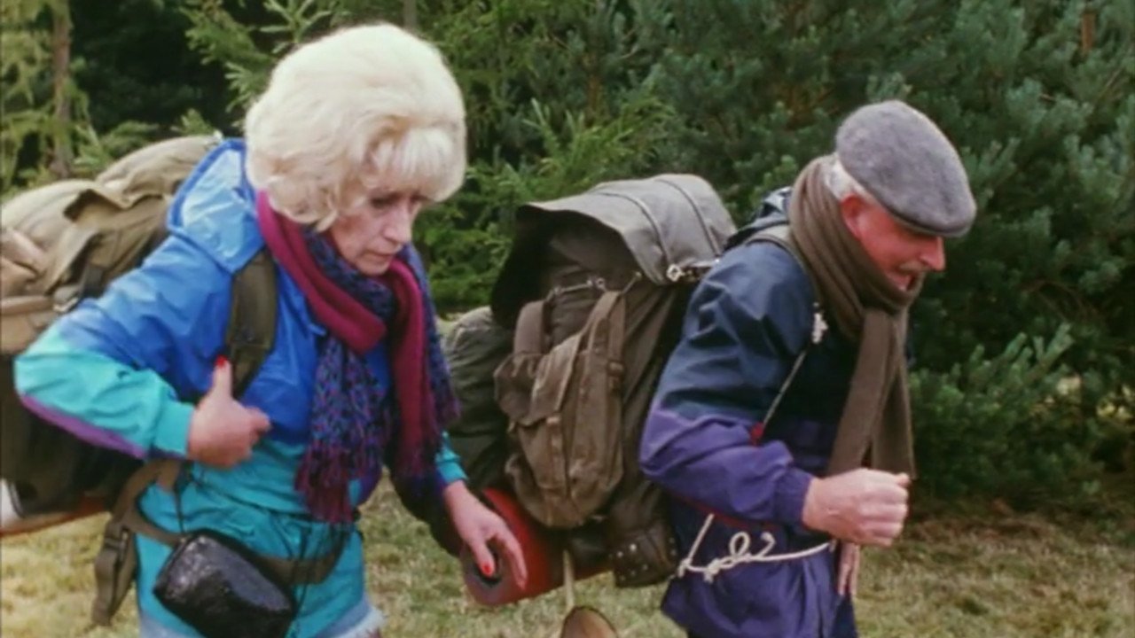 Last of the Summer Wine