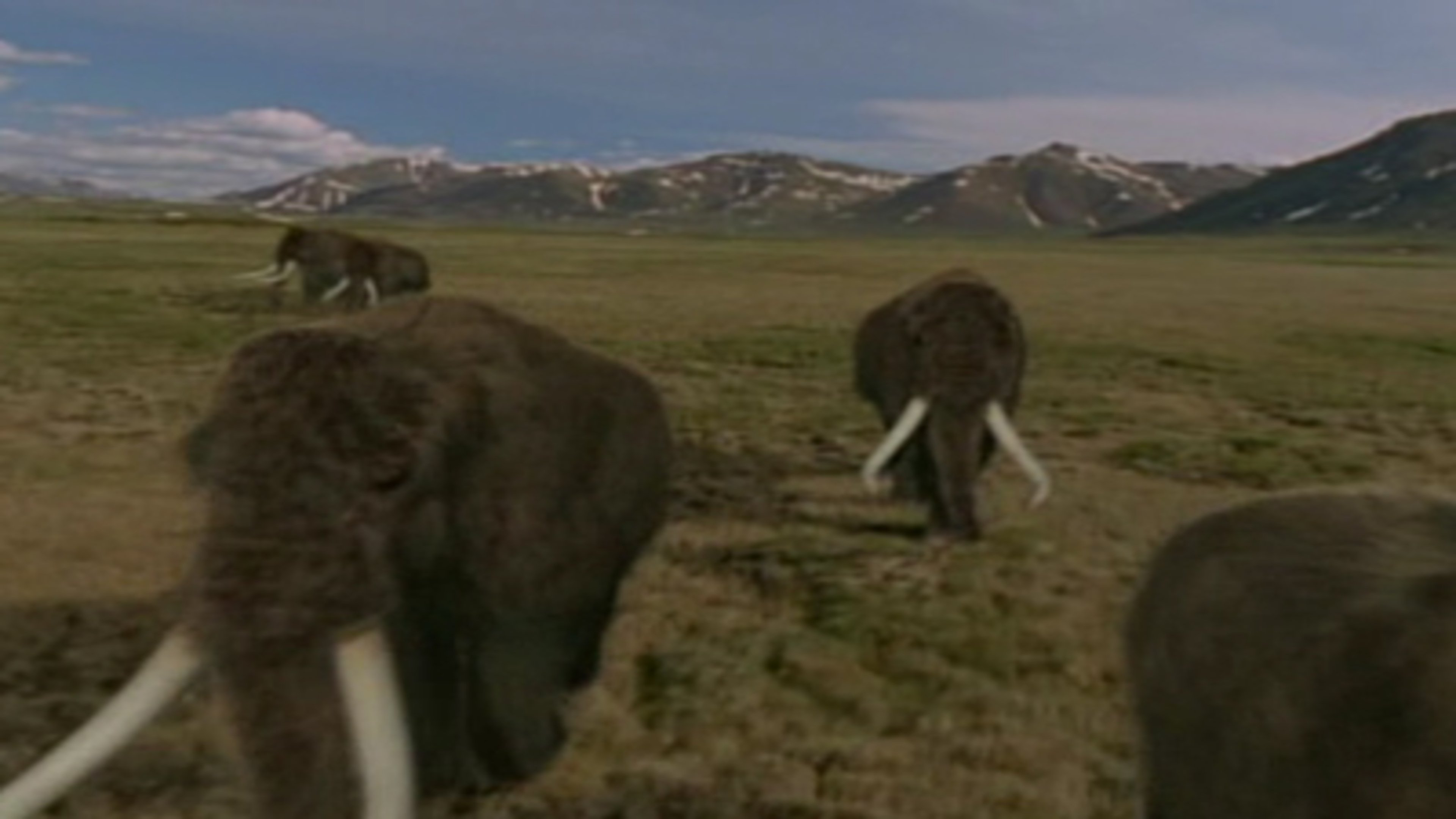 Thumbnail for Land Of The Mammoth Season 1 Episode 1