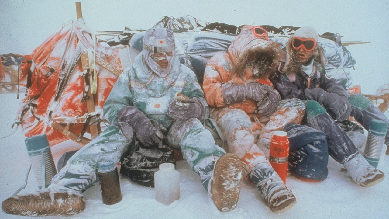 Au Sud du Sud (1992)