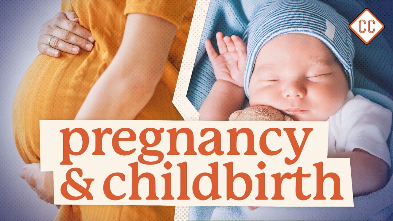 Thumbnail for Pregnancy & Childbirth Season 1 Episode 9