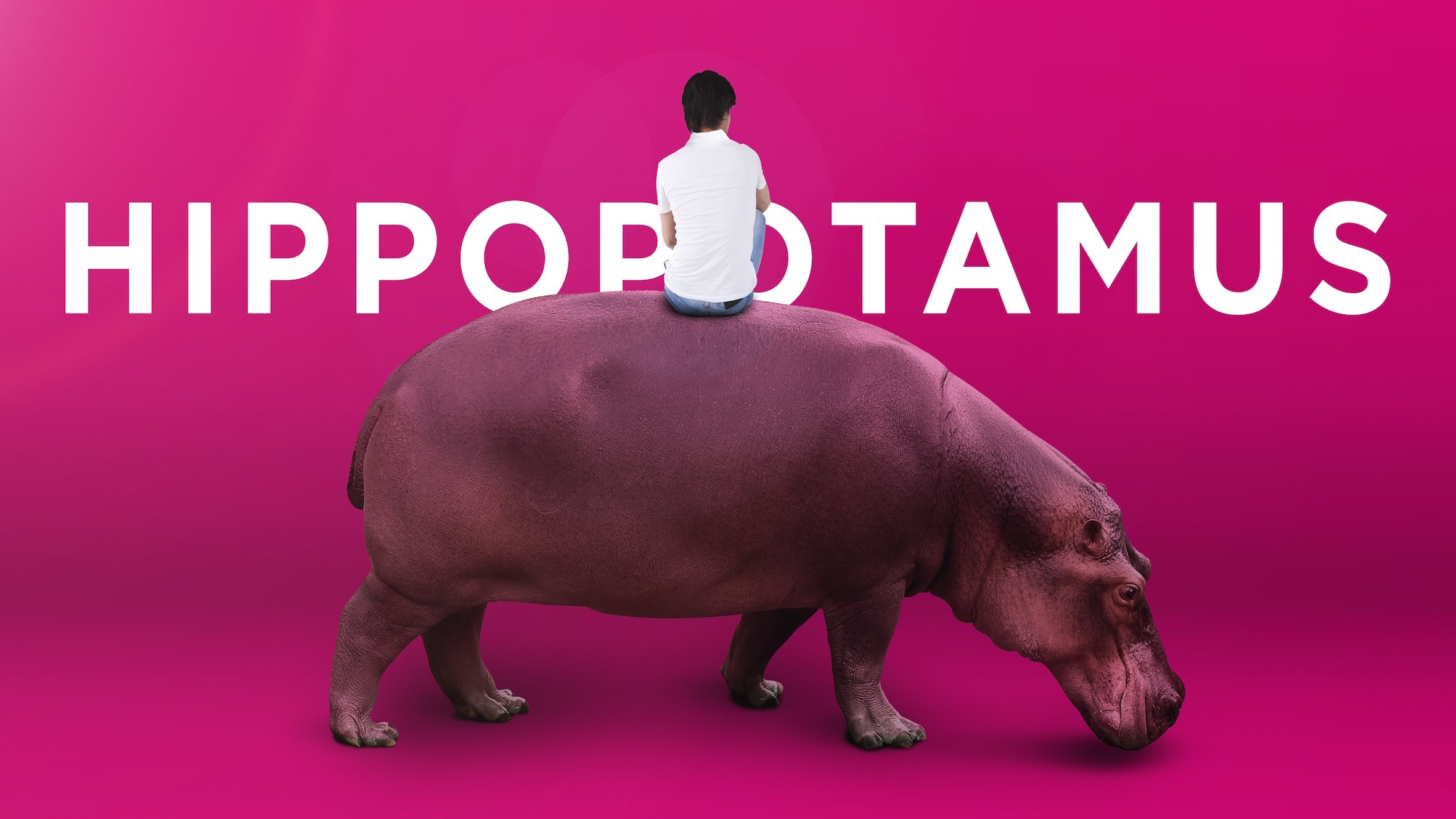 2017 Hippopotamus